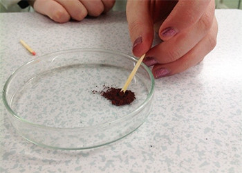 Chemistry Society – extracting iron using a match head, this image opens the news item